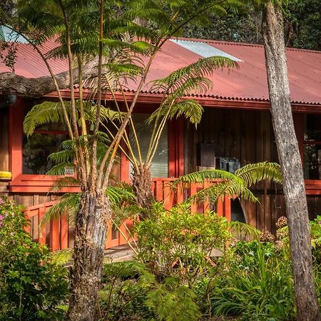 Crater Rim Cabin 沃尔卡诺 外观 照片
