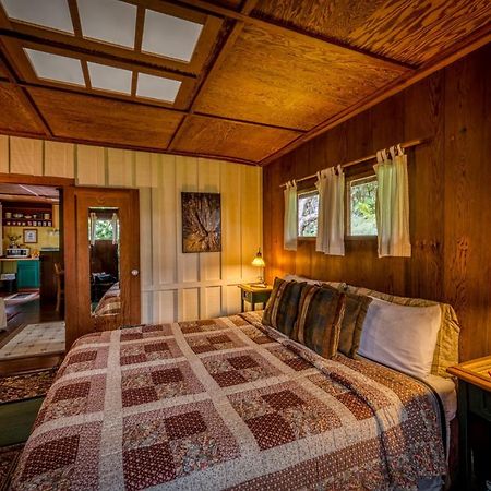 Crater Rim Cabin 沃尔卡诺 外观 照片