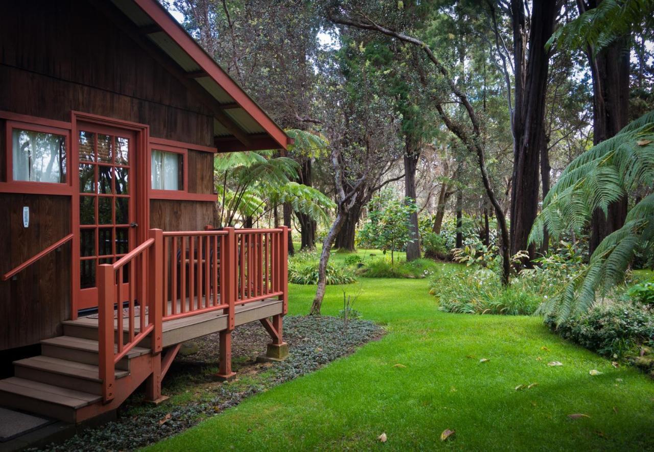 Crater Rim Cabin 沃尔卡诺 外观 照片