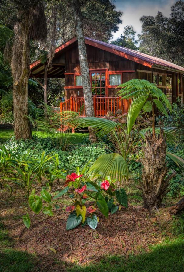 Crater Rim Cabin 沃尔卡诺 外观 照片